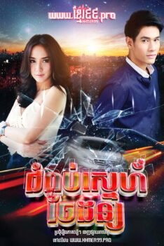 w2989 ជំពប់ស្នេហ៍ចៃដន្យ