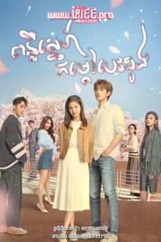 W4129 ពន្លឺស្នេហ៍កម្ដៅបេះដូង