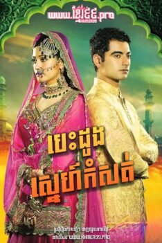 W4135 បេះដូងស្នេហ៍កំសត់