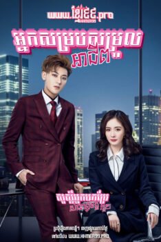 W4228 អ្នកសម្របសម្រួលអាជីព