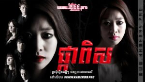 W4231 ផ្កាពិស១