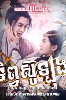 W4241 ដាវទិព្វសូឡុងt