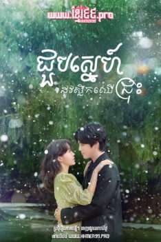 W4182 ជួបស្នេហ៍រដូវស្លឹកឈើជ្រុះ