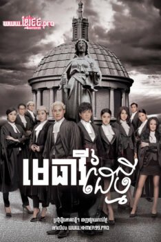 W4183 មេធាវីដៃថ្មី