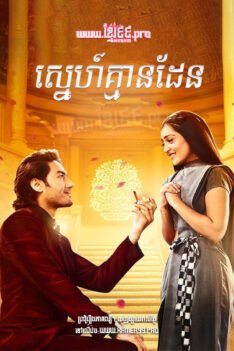 W4188 ស្នេហ៍គ្មានដែន