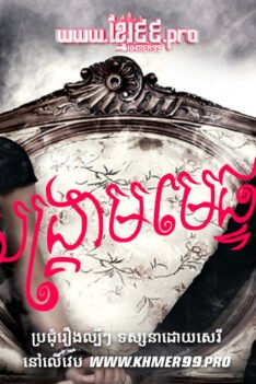 W4220 សង្គ្រាមមេផ្ទះត